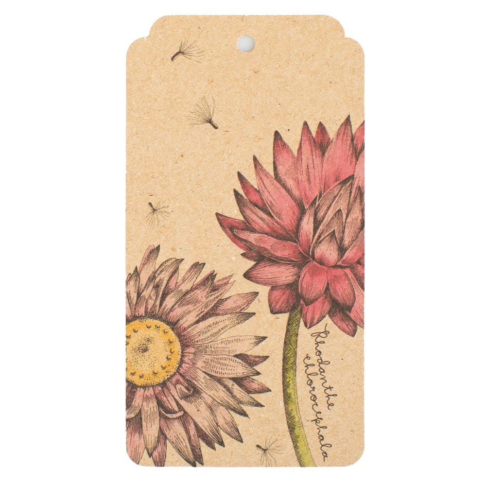 Everlasting Daisy Gift Tag