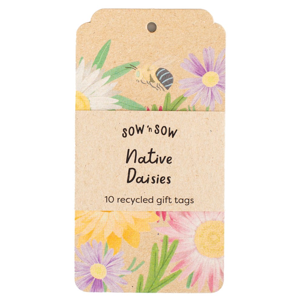 Native Daisies Gift Tag - 10 Pack (ws)