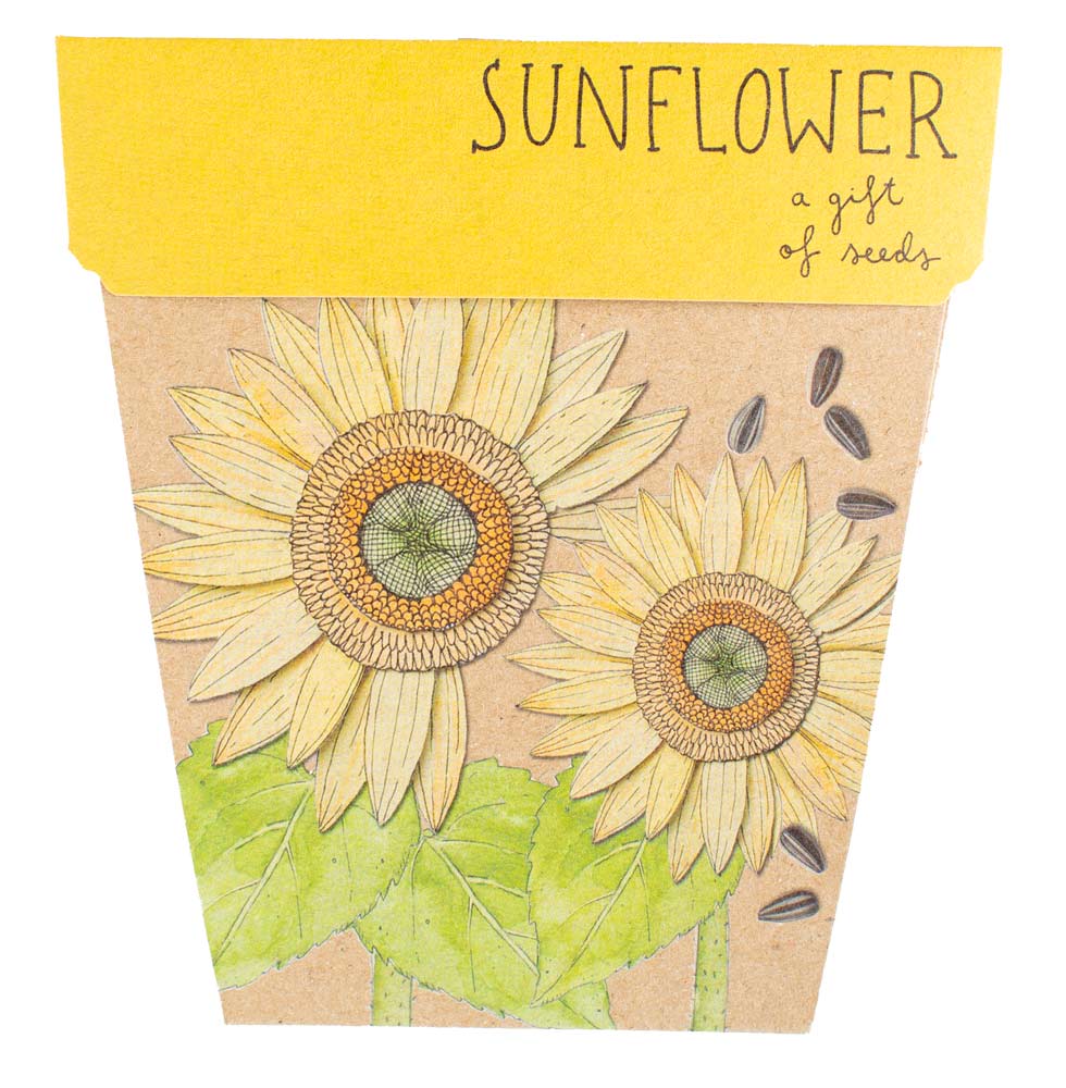 SUN_GOS