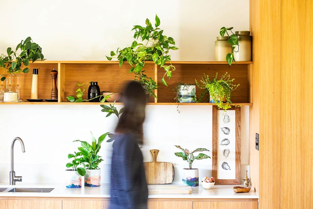 Pop Up Pots