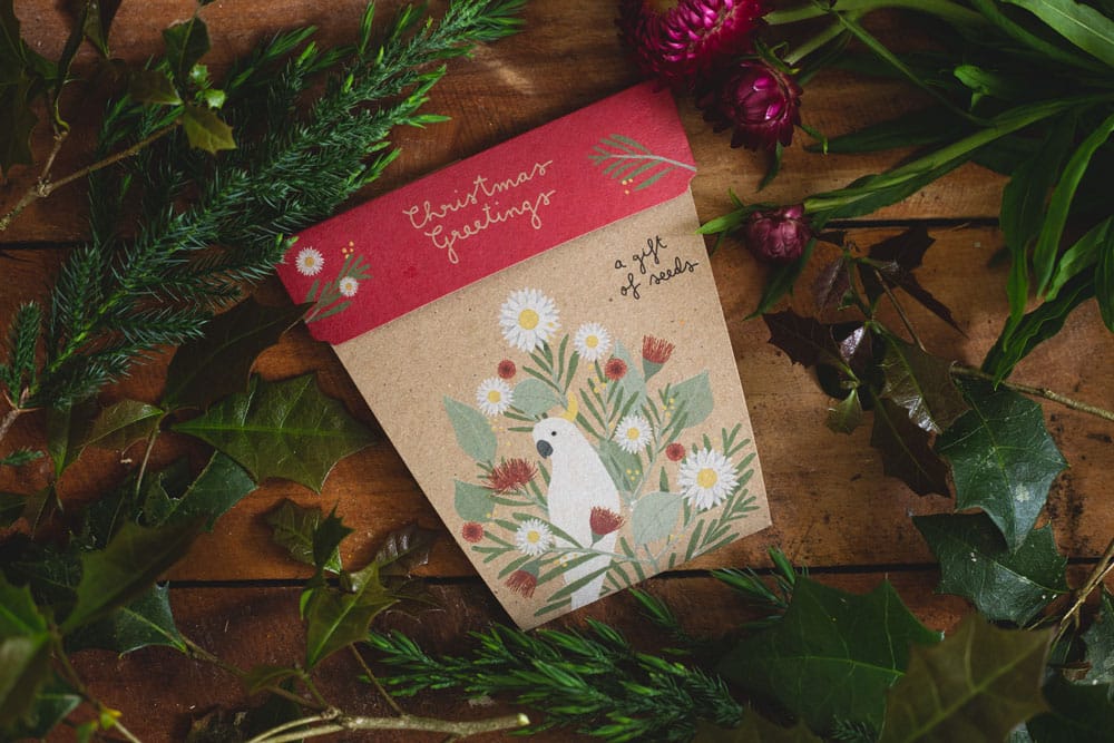 Christmas Gift of Seeds Boxed Set of 4 (ws) - Image 10