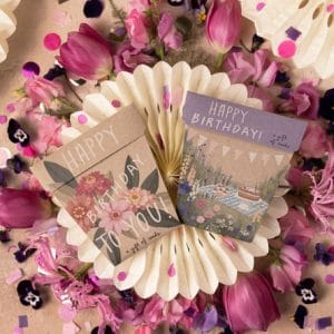 Gift of Seeds Restock Pack Large
