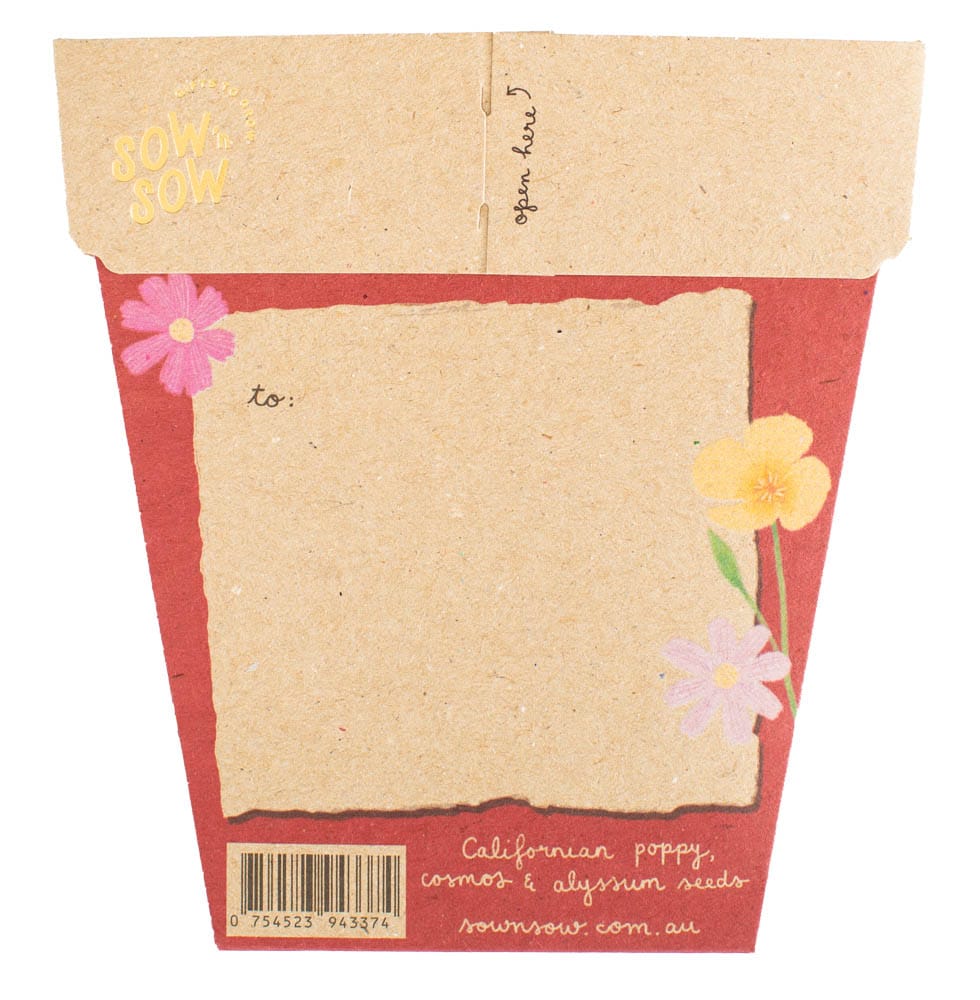 Christmas Wildflowers Gift of Seeds (ws) SOLD OUT - Image 2