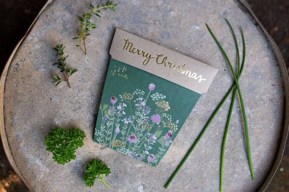 Christmas Gift of Seeds Boxed Set of 4 (ws) - Image 8