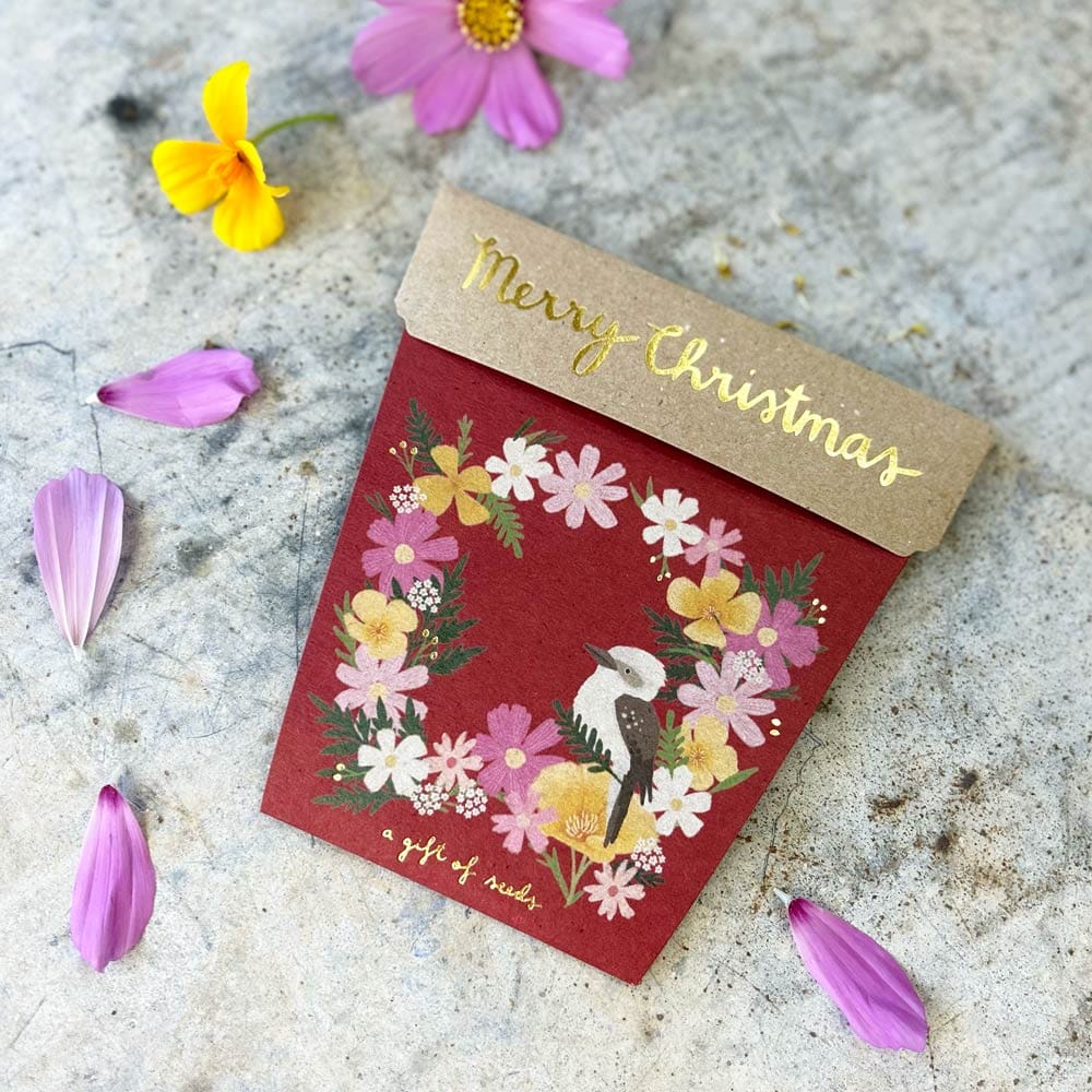 Christmas Wildflowers Gift of Seeds (ws) SOLD OUT - Image 3