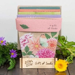 Dahlia Gift of Seeds