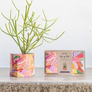 Sow 'n Sow Pop Up Pot