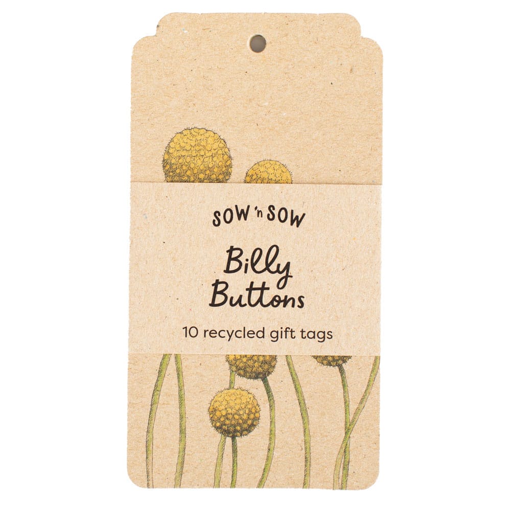 Billy Buttons Gift Tag - 10 Pack (ws)