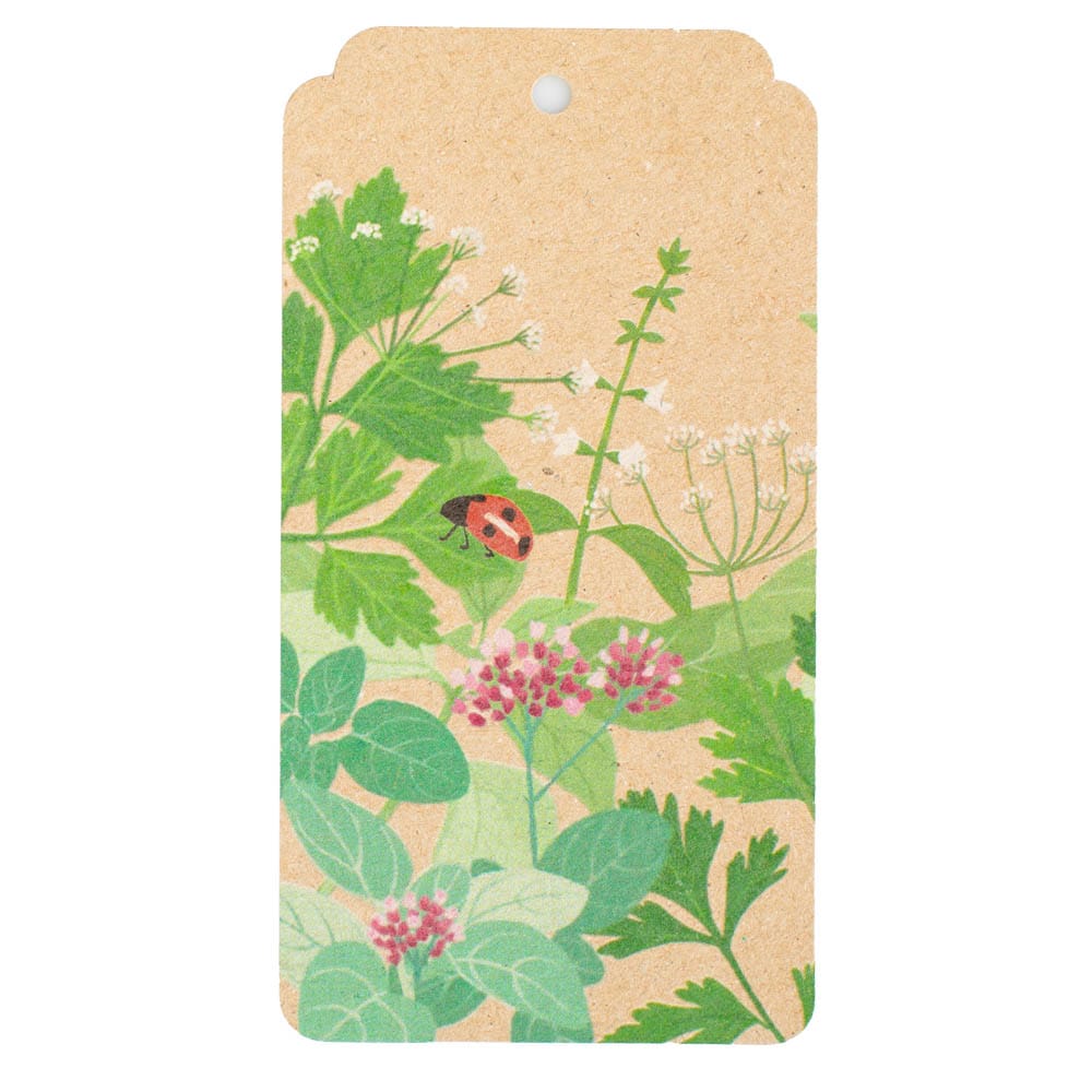 Garden Herbs Gift Tag - 10 Pack (ws) - Image 2