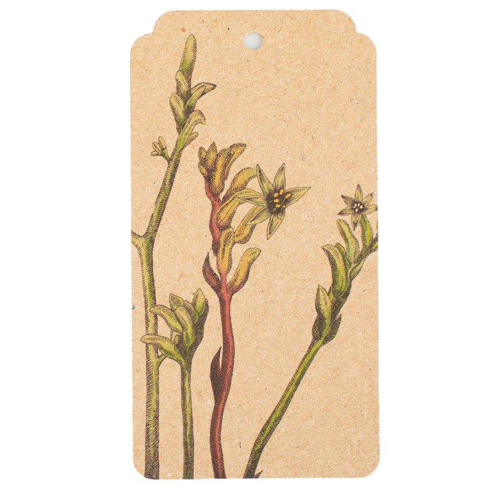 Kangaroo Paw Gift Tag