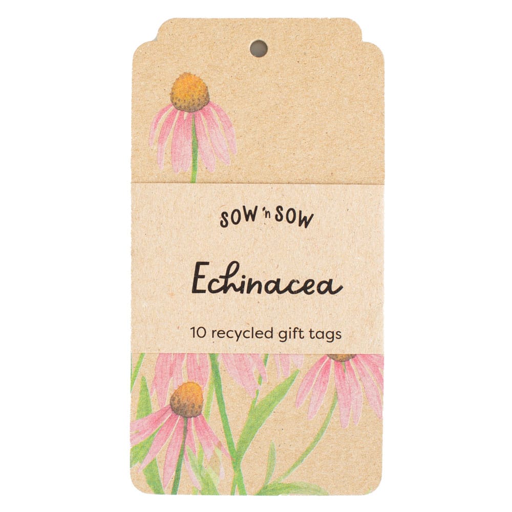 Echinacea Gift Tag - 10 Pack (ws)