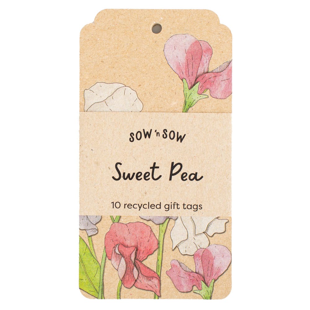 Sweet Pea Gift Tag - 10 Pack (ws)