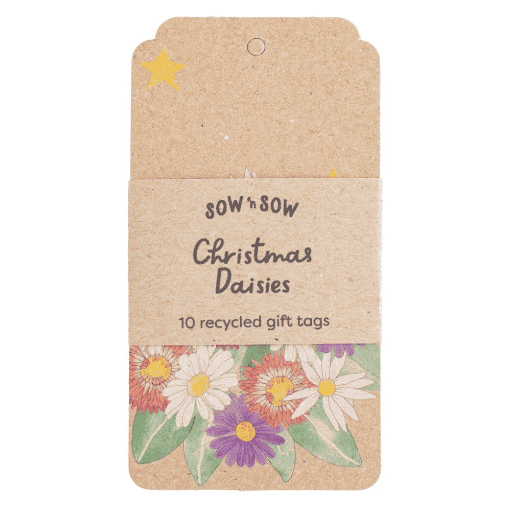 Christmas Daisies Gift Tag 10 Pack (ws)
