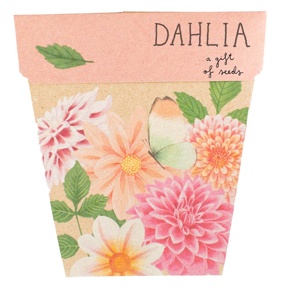 Sweet Posy Gifting Set (ws) - Image 10