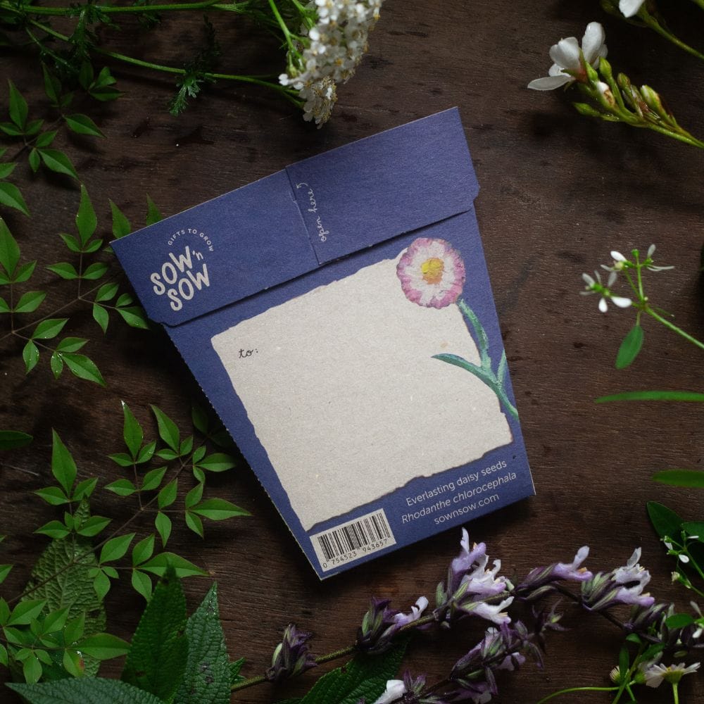 With Sympathy Gift of Seeds (ws) - Image 4