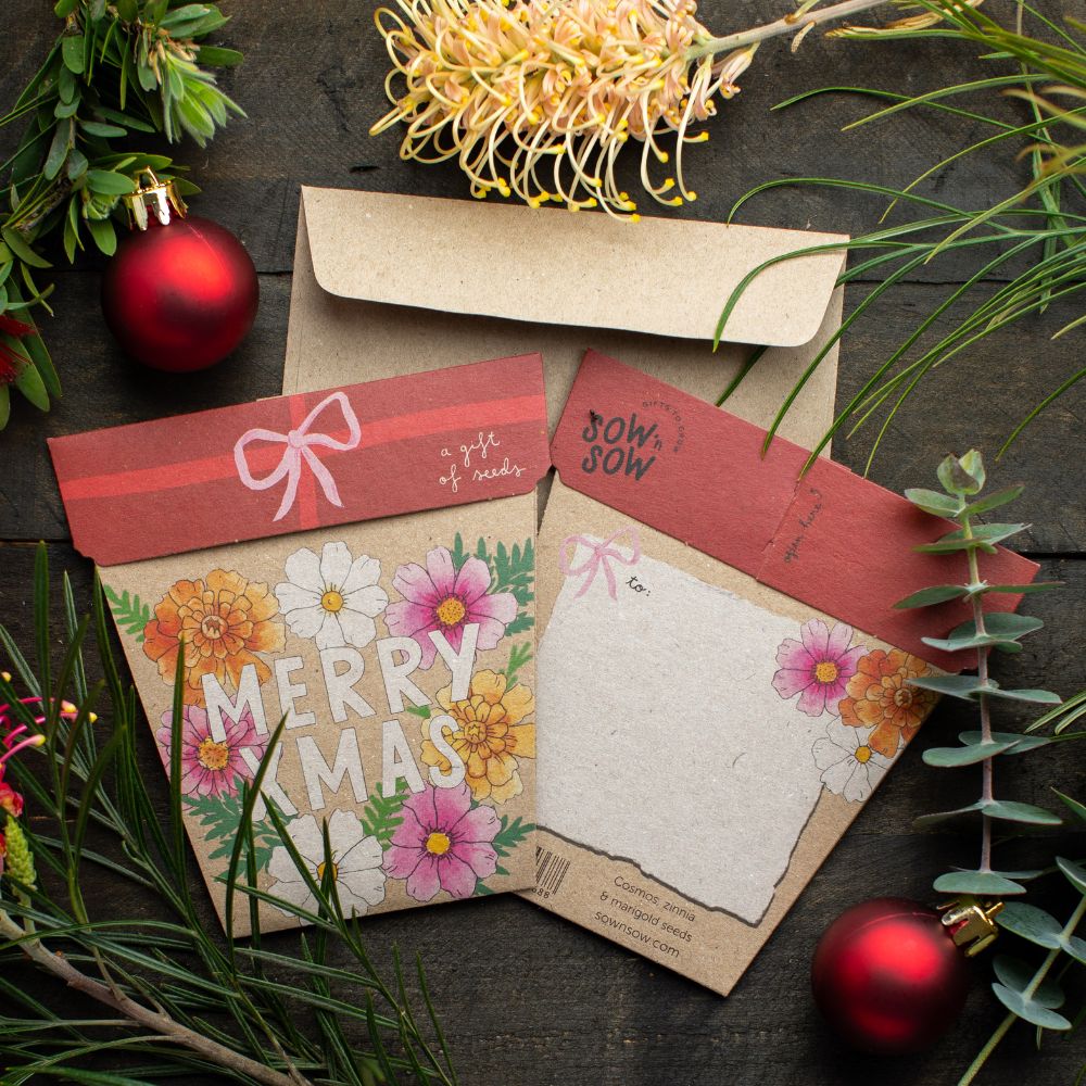 Christmas Blooms Gift of Seeds