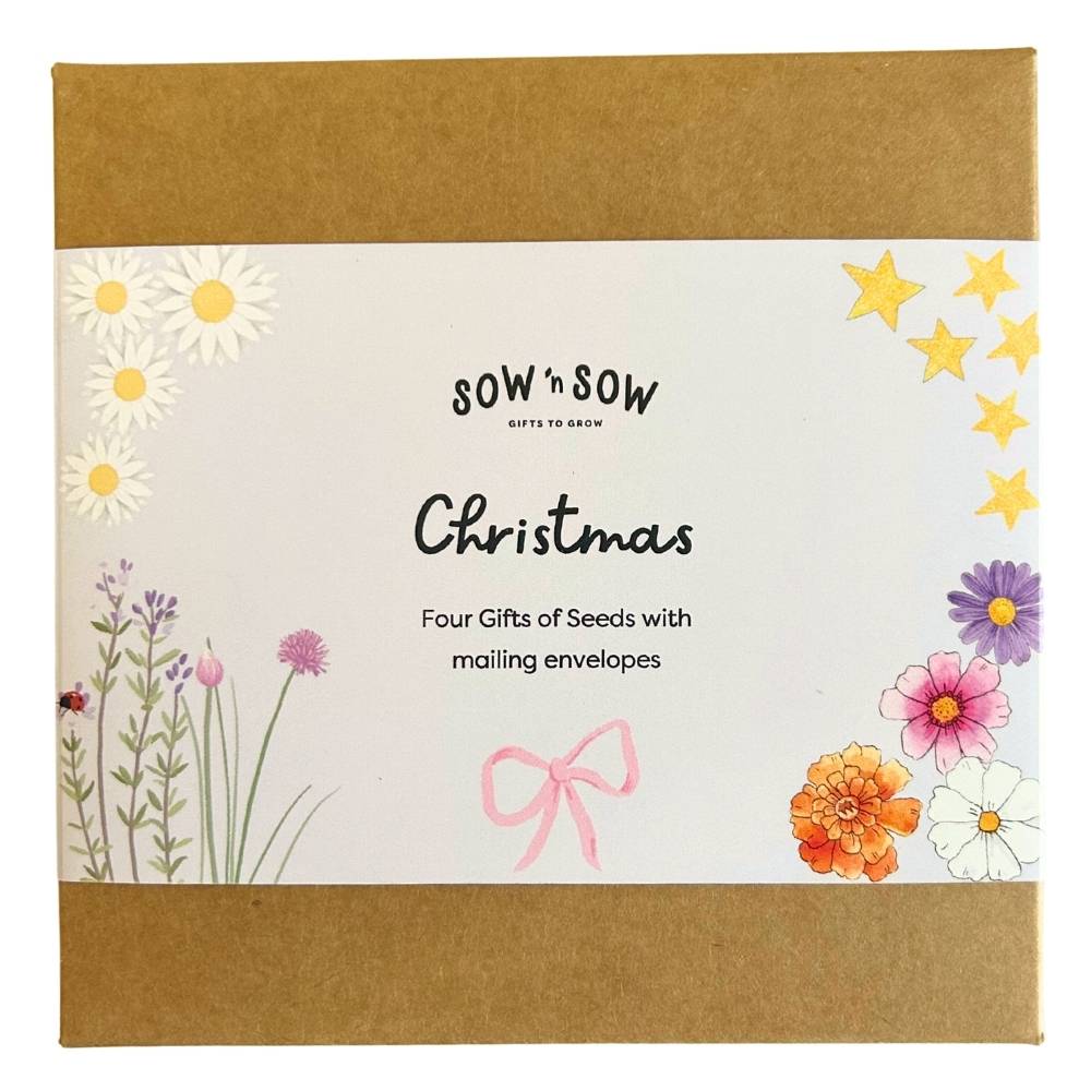 Christmas greeting card set of 4 seeds