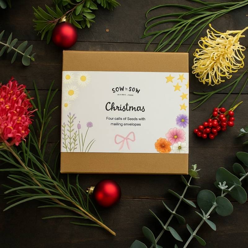 Christmas Gift of Seeds Boxed Set of 4 (ws)