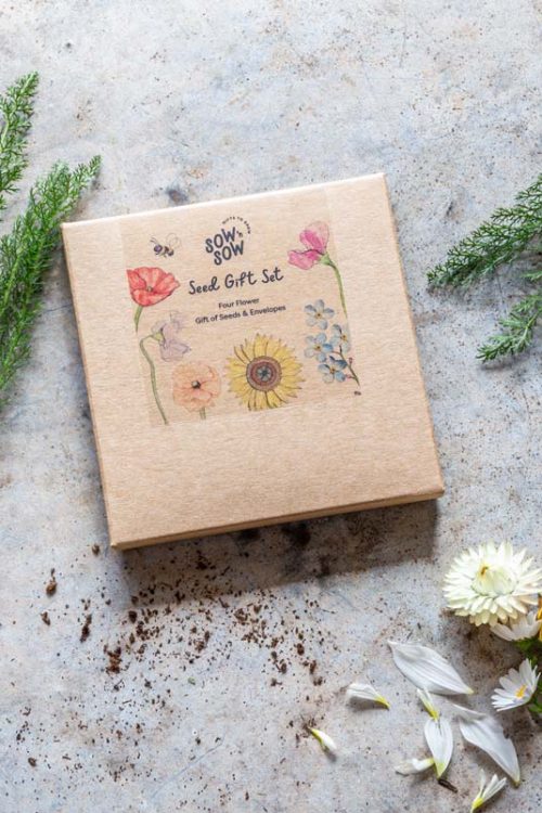 Flower seed gift set