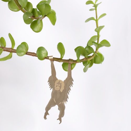 Orangutan2
